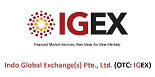 Logo Indo Global Exchange(s) PTE, Ltd.