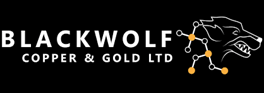 Logo Blackwolf Copper and Gold Ltd.