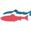Logo Gigante Salmon