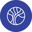 Logo Amniotics AB