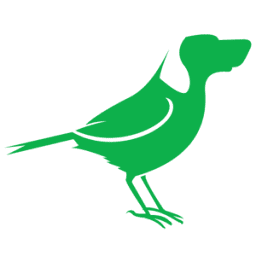 Logo BirdDog Technology Limited