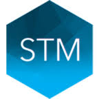 Logo STM Group Plc