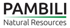 Logo Pambili Natural Resources Corporation