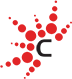 Logo California Nanotechnologies Corp.