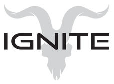 Logo Ignite International Brands Ltd.