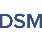 Logo DSM Capital Partners LLC