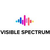 Logo VSI.Video LLC