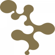 Logo Aurelia Metals Ltd.