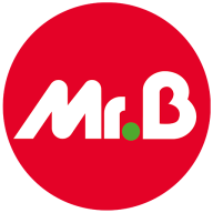 Logo Mr Bricolage SA