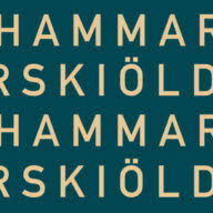 Logo Hammarskiöld & Co.