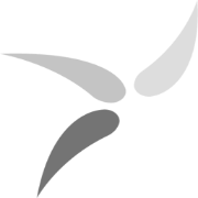Logo Whitespeed LLC