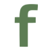 Logo Fabrinet
