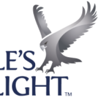 Logo Eagle's Flight, Creative Training Excellence, Inc.