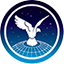 Logo The Royal Aeronautical Society