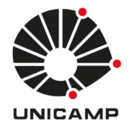 Logo University of Campinas