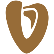 Logo Texas Heart Institute