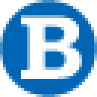 Logo The Bowra Group, Inc.