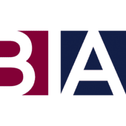 Logo Business Intelligence Advisors, Inc.