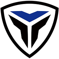 Logo Saean Group, Inc.