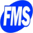 Logo Financial Modeling Specialists, Inc.