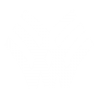 Logo Windsor Machines Ltd.