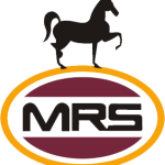 Logo MRS Holdings Ltd. (Nigeria)