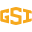 Logo The GSI Group LLC