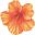 Logo Hawaiian Host, Inc.