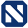 Logo Nellis Corp.