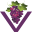 Logo The Vineyards LLC