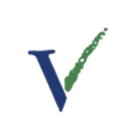 Logo Voicevale Ltd.