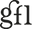 Logo GFL Srl