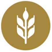 Logo Euryza GmbH