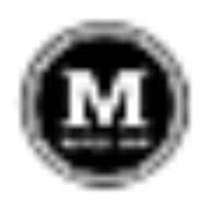 Logo Maas International BV