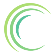 Logo The Council for Economic Education