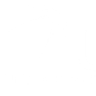 Logo Unique Broadband Systems Ltd.