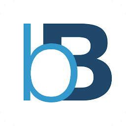 Logo Berkshire Hathaway Insurance Group