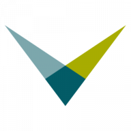 Logo The Validant Group
