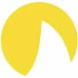 Logo Raghuvir Synthetics Ltd.