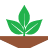 Logo Vietnam Pesticide JSC