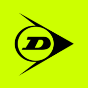 Logo Dunlop International Group Ltd.