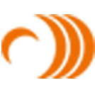 Logo Sailun Group Co., Ltd.