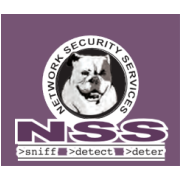 Logo Network Security Services LLC