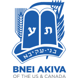 Logo Bnei Akiva of the United States & Canada
