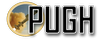Logo Pugh Associates of Florida LLC