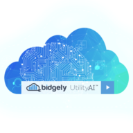 Logo Bidgely, Inc.