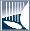 Logo Rain Capital Management LLC