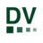 Logo Digital View Group Ltd.