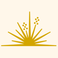 Logo Permian Basin Area Foundation