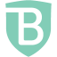Logo BrandShield Ltd.